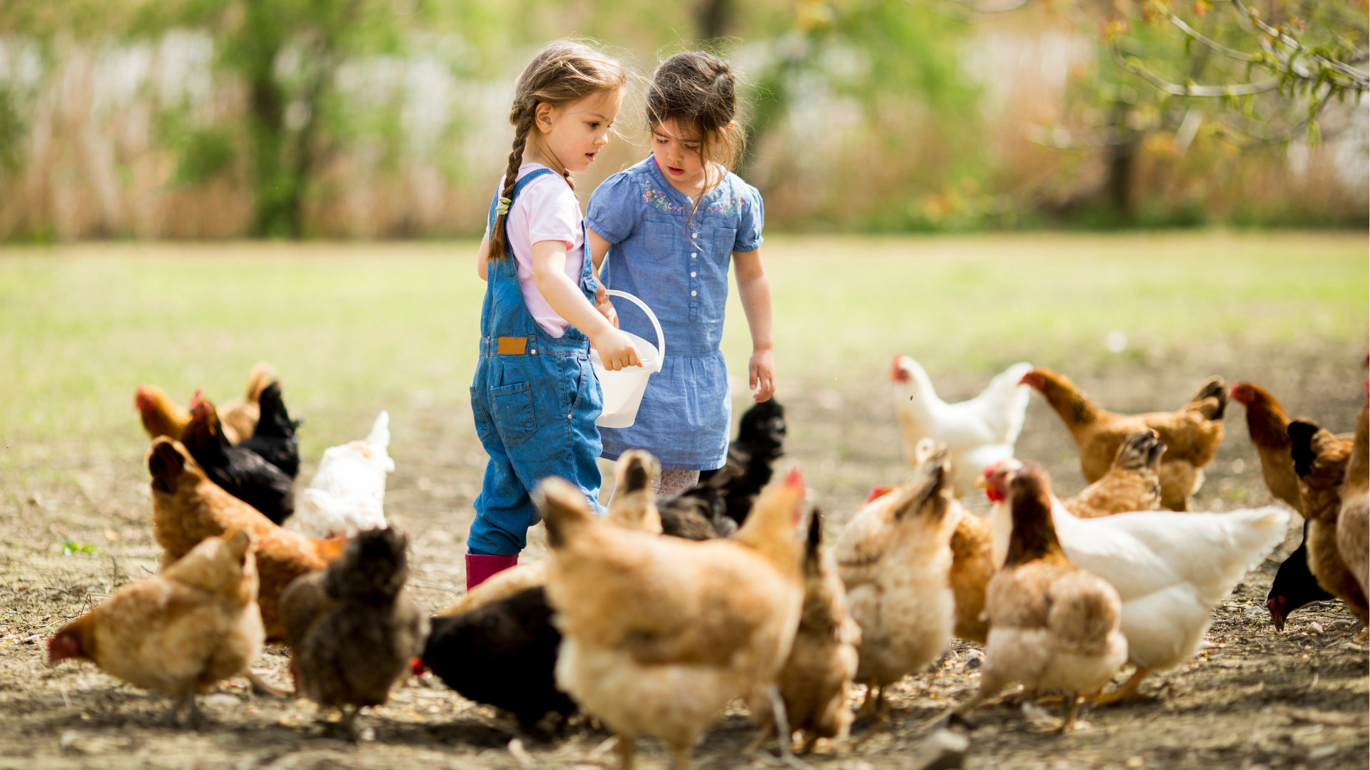 4–6 Yaş Çocuklar İçin Beslenme Rehberi